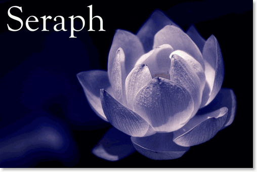 White-Lotus-Flower-Seraph